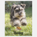 Buscar schnauzer casa hogar General y unisex