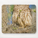 Buscar hábitat alfombrillas de raton Salvaje