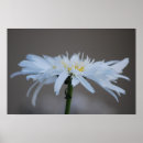 Buscar del hippy posters Hippies