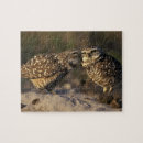 Buscar lechuza puzzles Fauna