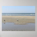 Buscar tranquilidad posters Playa