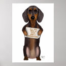 Buscar dachshund lindo posters Amantes de los animales