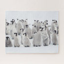 Buscar pingüinos de emperador puzzles Animales salvajes