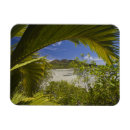 Buscar seychelles imanes Al aire libre