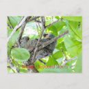 Buscar lemas postales Animal