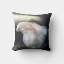 Buscar pelea cojines Betta