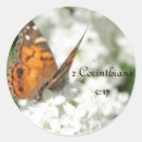 Buscar corinthians pegatinas Biblia