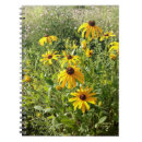 Buscar susans Floral