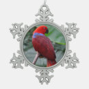 Buscar loro adornos Pájaro