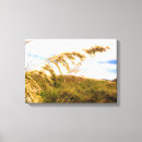 Buscar avena lienzos Paisaje