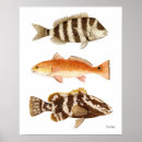 Buscar tambor rojo posters General y unisex