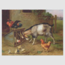 Buscar cabra papel de seda Animales