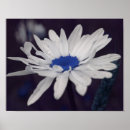 Buscar gotas de lluvia posters Para ella