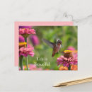 Buscar colibríes postales Para ella