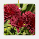 Buscar crisantemos adornos General y unisex