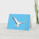 Buscar pájaro tarjetas enhorabuena de bebe Animal