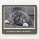 Buscar el jugar del gato alfombrillas de raton Felino