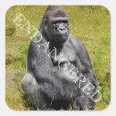 Buscar gorila pegatinas África