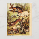 Buscar decoupage postales Ephemera