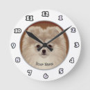 Buscar perro pomerania relojes de pared Perros