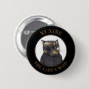 Buscar gato de calicó pins Para todos