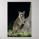 Buscar mundo natural posters Naturaleza