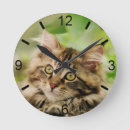 Buscar maine coon relojes de pared Gatito
