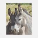Buscar burro salvaje Nevada