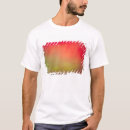 Buscar boreal camisetas Colorido