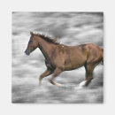 Buscar caballo corriente Animal