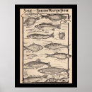 Buscar pesca con mosca arte Engorde