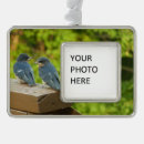 Buscar golondrinas adornos General y unisex