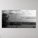 Buscar naturaleza y paisajes posters Estanque