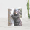 Buscar abrazos de oso tarjetas Osos