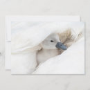 Buscar mudo tarjetas Animal joven