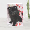 Buscar perro pomeranian tarjetas Negro