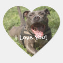 Buscar mi pitbull pegatinas Amante del perro