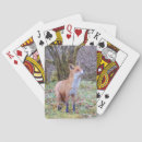 Buscar salvavidas barajas de cartas Zorro