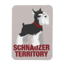Buscar schnauzer imanes Terrier