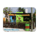 Buscar neumáticos imanes General y unisex