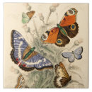 Buscar mariposa antigua azulejos Para ella