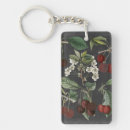 Buscar comidas accesorios Fruta