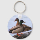 Buscar pato silvestre llaveros Mallard