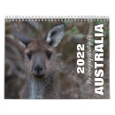 Buscar animal salvaje calendarios Vida silvestre