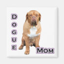 Buscar bordeaux imanes French mastiff