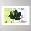 Buscar herbario posters Verde