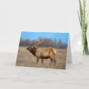 Buscar del perfil tarjetas Animal