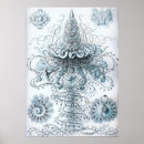 Buscar jellyfish arte Vintage