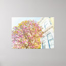 Buscar magnolia lienzos Árbol