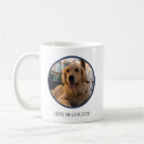 Buscar golden retriever tazas Foto